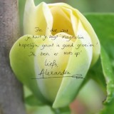alexandra alphenaar plant magnolia bij buitengoed de gaard