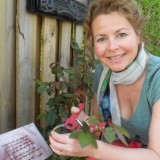 maaike widdershoven verzorgt haar nrsv-aspects of love  rozen bij buitengoed de gaard.