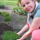 rett ambassadrice maaike widdershoven plant lavendel voor de nrsv